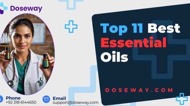 Blog 47 Best-Essential-Oils-In-Pakistan