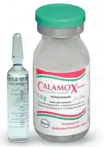 Calamox-Injection-0.6g