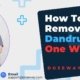 How-To-Remove-Dandruff-In-One-Wash