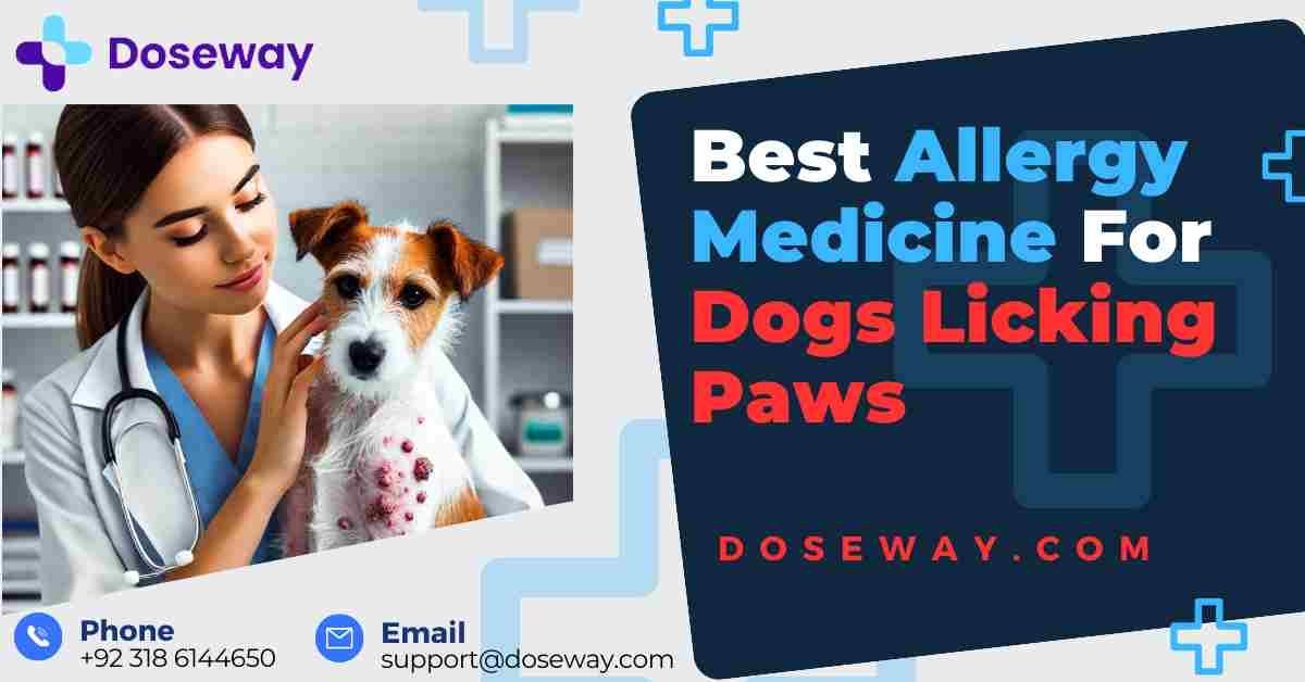 Allergy Medicine Dogs: Best Allergy Medicine For Dogs Licking Paws 1 Allergy-Medicine-Dogs