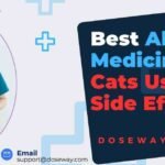 Allergy-Medicine-For-Cats