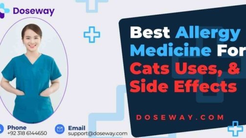 Allergy-Medicine-For-Cats