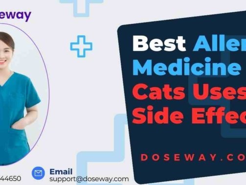 Allergy-Medicine-For-Cats
