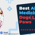 Allergy-Medicine-For-Dogs