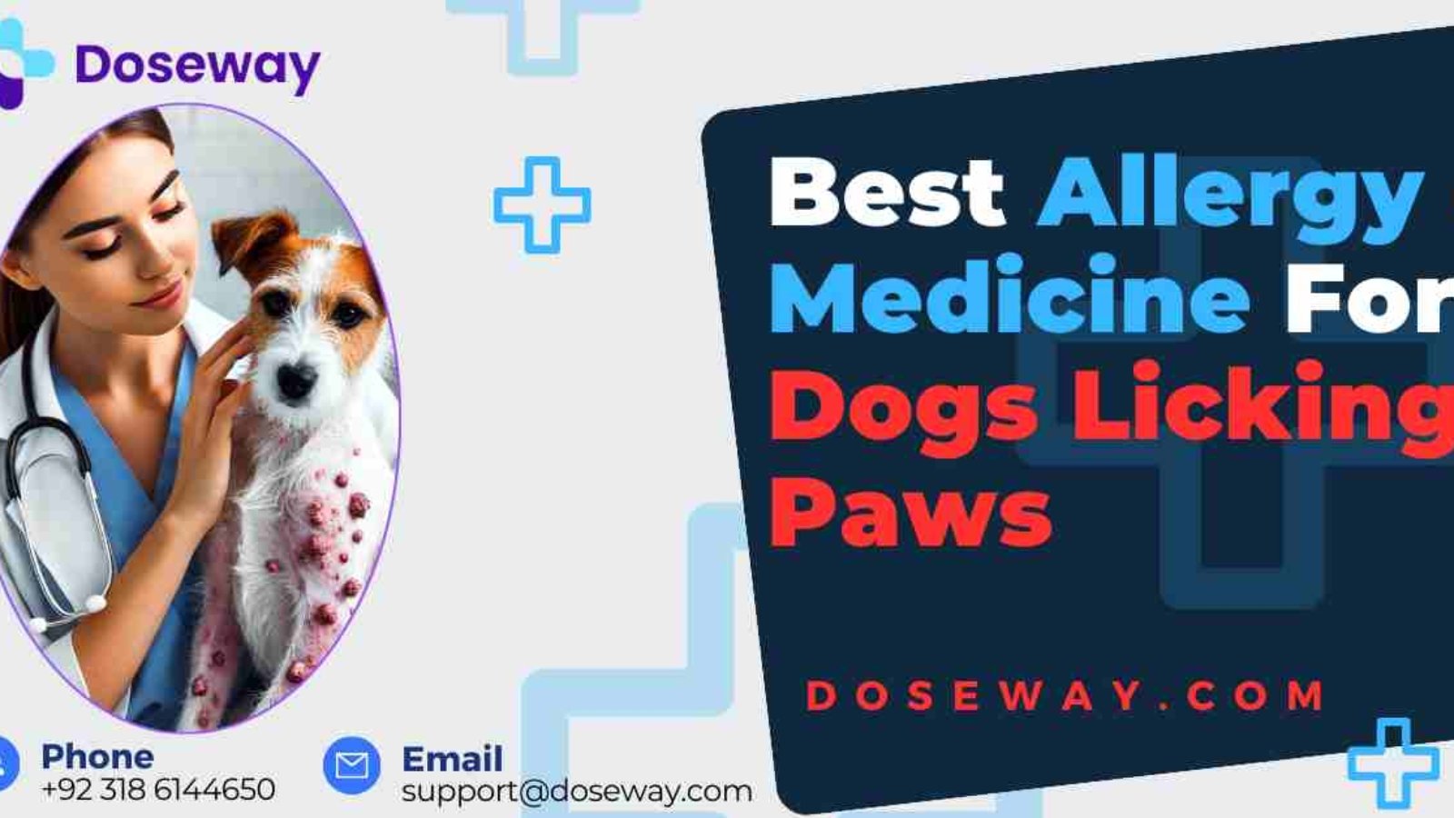 Allergy-Medicine-For-Dogs