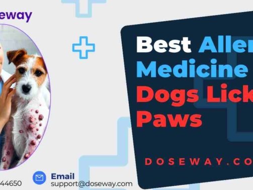 Allergy-Medicine-For-Dogs