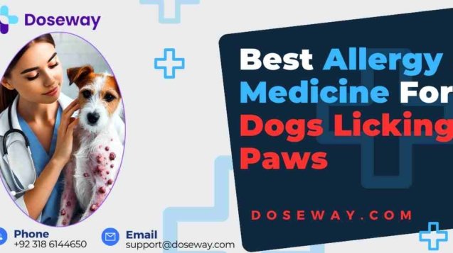 Allergy-Medicine-For-Dogs