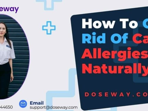 How-To-Get-Rid-Of-Cat-Allergies
