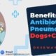 Top-10-Best-Antibiotics-For-Pneumonia-In-Dogs-And-Cattle