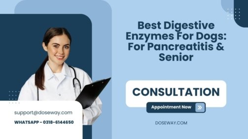 Best-Digestive-Enzymes-For-Dogs-For-Pancreatitis-&-Senior