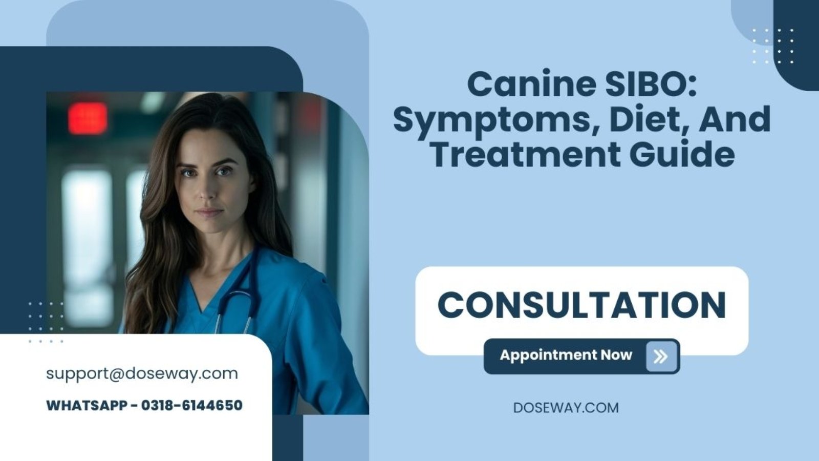 Canine-SIBO-Symptoms-Diet-And-Treatment-Guide
