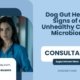 Dog-Gut-Health-Signs-of-an-Unhealthy-Canine-Microbiome