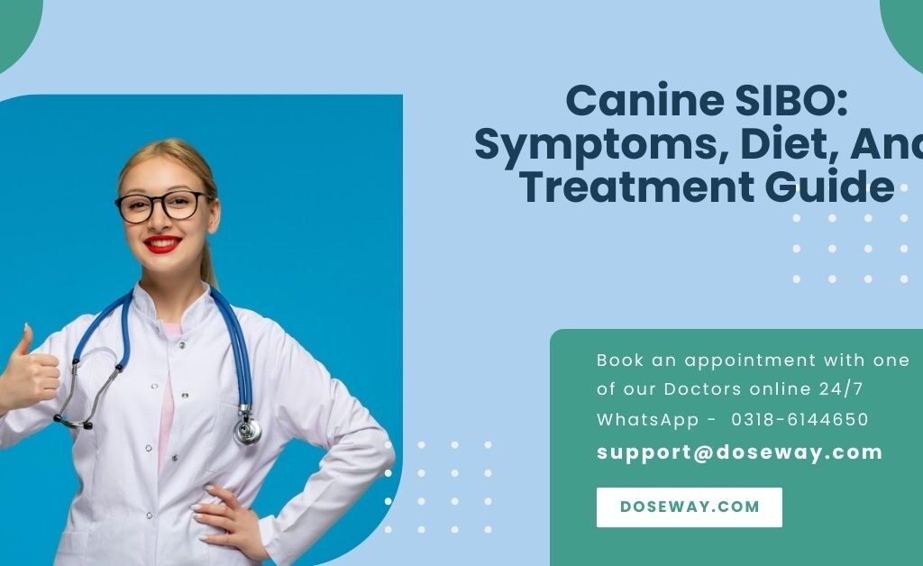 Free-Canine-SIBO-Symptoms-Diet-And-Treatment-Guide
