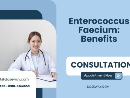 Enterococcus-Faecium-Benefits