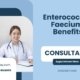 Enterococcus-Faecium-Benefits
