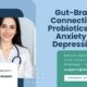 Gut-Brain-Connection-Probiotics-For-Anxiety-&-Depression (2)