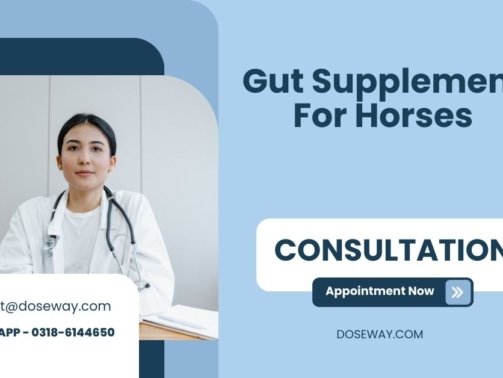 Gut-Supplement-For-Horses