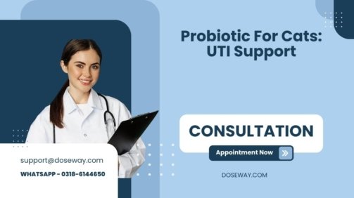 Probiotic-For-Cats-UTI-Support