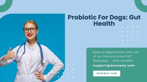 Probiotic-For-Dogs-Gut-Health