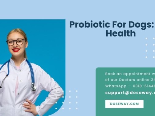Probiotic-For-Dogs-Gut-Health