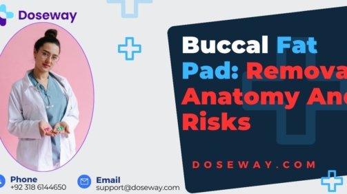 Buccal-Fat-Pad