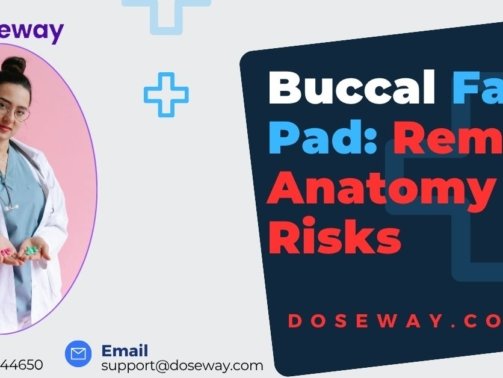 Buccal-Fat-Pad
