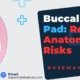 Buccal-Fat-Pad