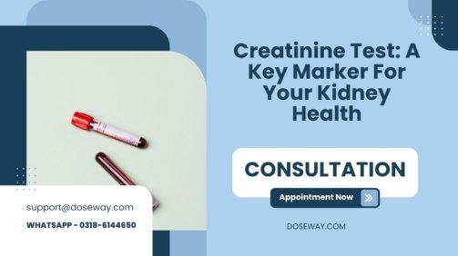 Creatinine-Test-A-Key-Marker-For-Your-Kidney-Health