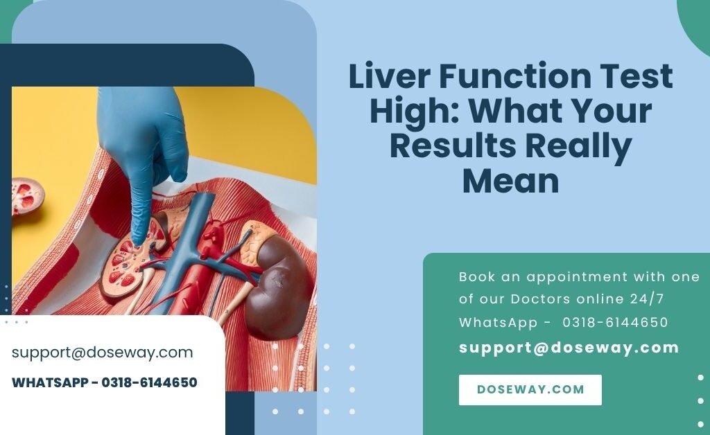 Liver Function Test High: What Your Results Really Mean 1 Free-Liver-Function-Test-High-What-Your-Results-Really-Mean