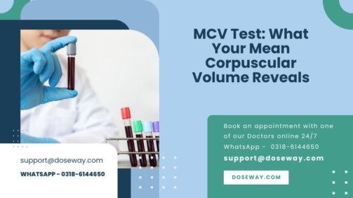 Free-MCV-Test-What-Your-Mean-Corpuscular-Volume-Reveals