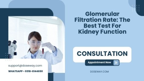 Glomerular-Filtration-Rate-The-Best-Test-For-Kidney-Function