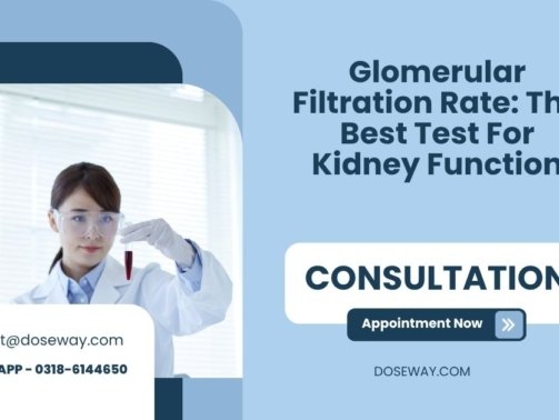 Glomerular-Filtration-Rate-The-Best-Test-For-Kidney-Function