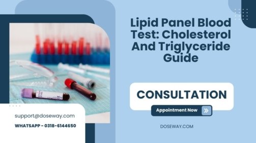 Lipid-Panel-Blood-Test-Cholesterol-And-Triglyceride-Guide