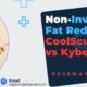 Non-Invasive-Fat-Reduction