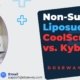 Non-Surgical-Liposuction