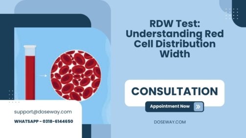 RDW-Test-Understanding-Red-Cell-Distribution-Width