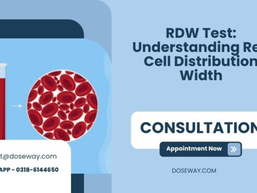 RDW-Test-Understanding-Red-Cell-Distribution-Width