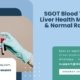 SGOT-Blood-Test-Liver-Health-Marker-&-Normal-Range