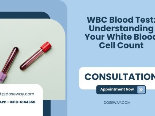 WBC-Blood-Test-Understanding-Your-White-Blood-Cell-Count