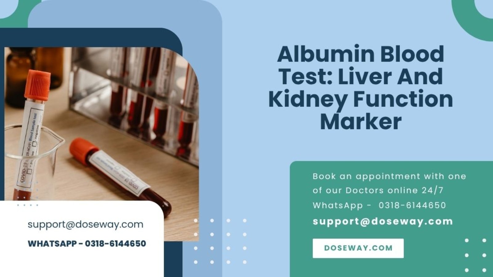 Albumin-Blood-Test-Liver-And-Kidney-Function-Marker