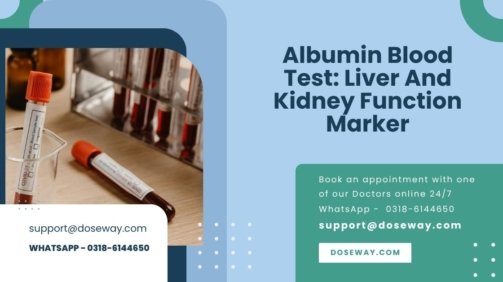 Albumin-Blood-Test-Liver-And-Kidney-Function-Marker