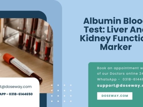 Albumin-Blood-Test-Liver-And-Kidney-Function-Marker