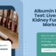 Albumin-Blood-Test-Liver-And-Kidney-Function-Marker