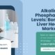 Alkaline-Phosphatase-Levels-Bone-and-Liver-Health-Marker