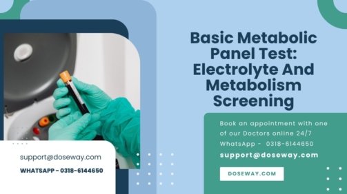 Basic-Metabolic-Panel-Test-Electrolyte-And-Metabolism-Screening