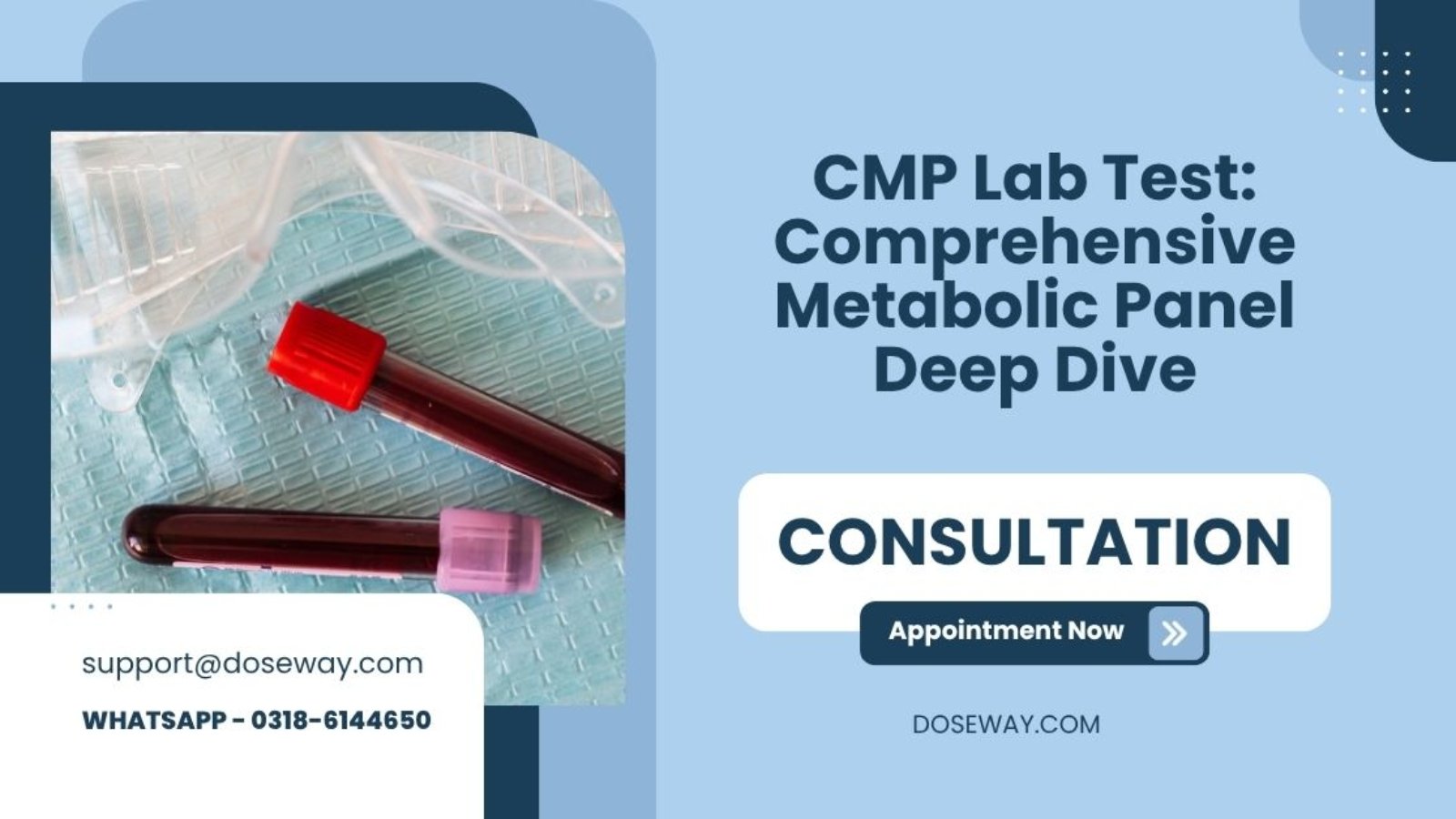 CMP-Lab-Test-Comprehensive-Metabolic-Panel-Deep-Dive