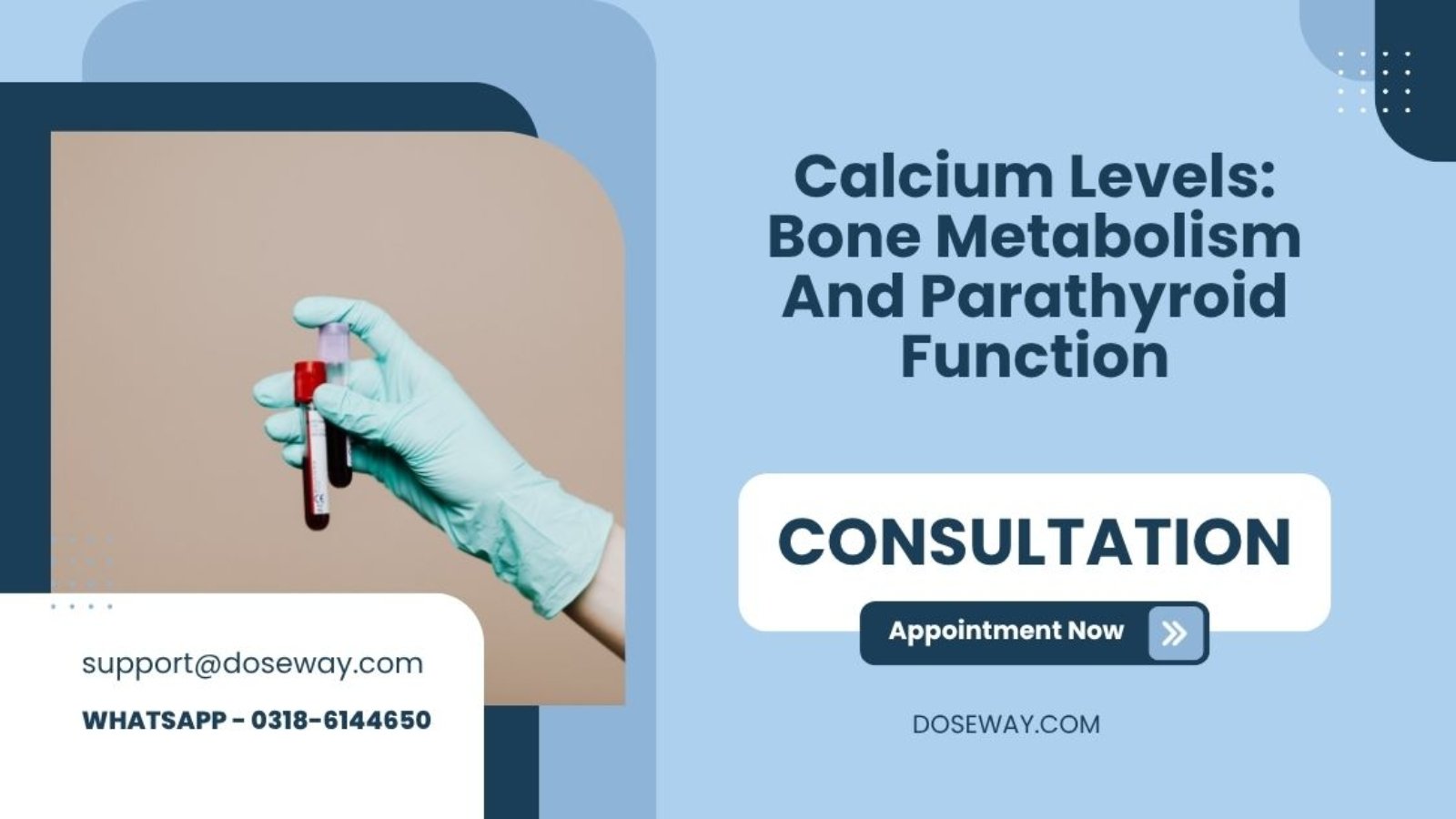 Calcium-Levels-Bone-Metabolism-And-Parathyroid-Function