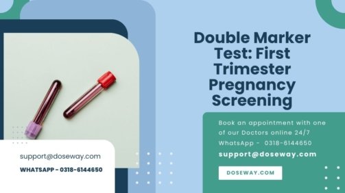 Double-Marker-Test-First-Trimester-Pregnancy-Screening