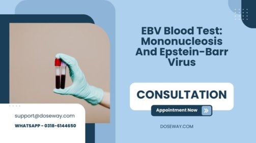 EBV-Blood-Test-Mononucleosis-And-Epstein-Barr-Virus