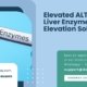 Elevated-ALT-Levels-Liver-Enzyme-Elevation-Solutions
